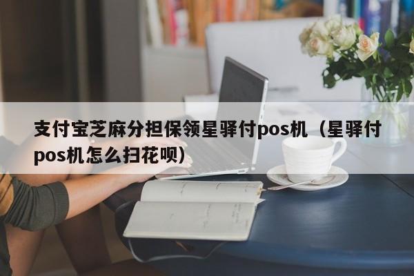 支付宝芝麻分担保领星驿付pos机（星驿付pos机怎么扫花呗）